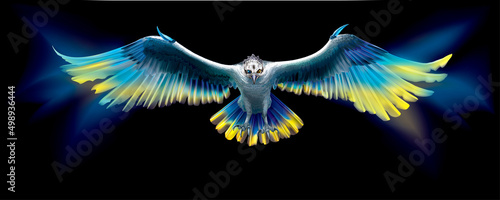 Symbolic Eagle in the colors of Ukraine
