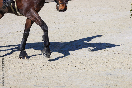 Horse riding shadow silhouette