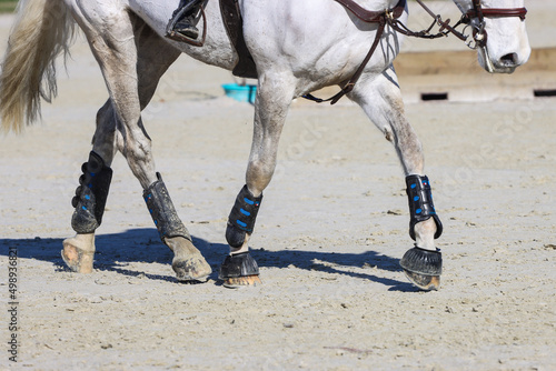 Horse riding legs close-up