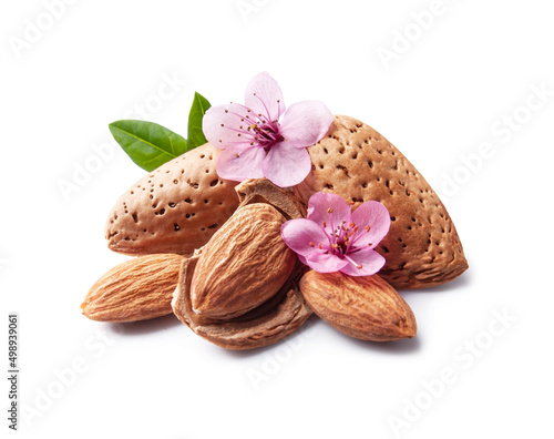 Almonds with leaves and flowers