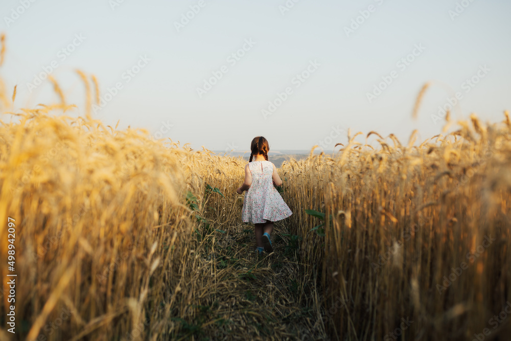 Happy running child girl in summer dress between on a ranks with golden wheat in the sunlight.