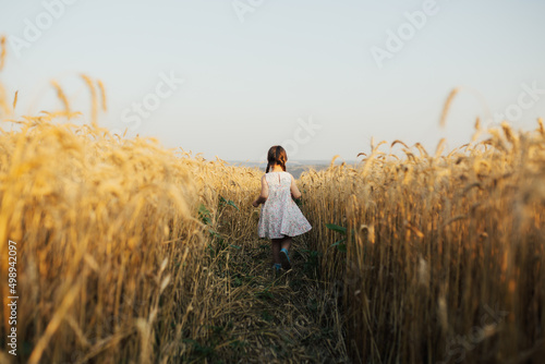 Obraz na płótnie Happy running child girl in summer dress between on a ranks with golden wheat in the sunlight. w salonie