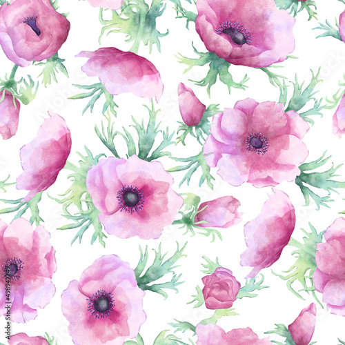 Pink anemone flowers watecolor seamless pattern on white background