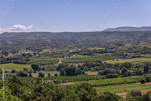 Panoramic view of Little Luberon valley from hilltop, vineyards, orchards, cultivated fields, deciduous treesin the summer morning. Vaucluse, Provence, France
