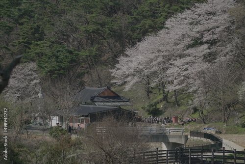 temple in the mountains