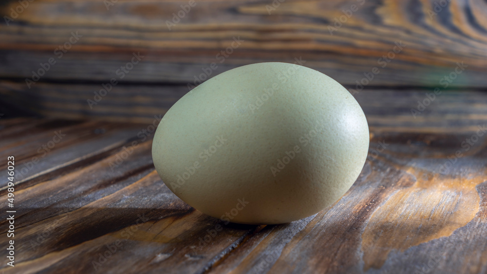 Araucana egg on wooden background. Light blue egg from Araucana chicken. Easter Festival concepts. Easter egg. Araucana egg on wooden background. Light blue egg from Araucana chicken. Easter Festival concepts. Easter egg.