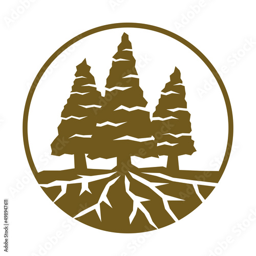 pine cedar tree with roots logo Icon Illustration Brand Identity