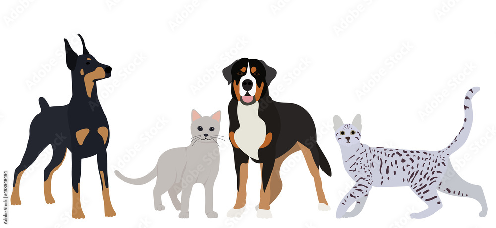 dogs and cats flat design, isolated, vector