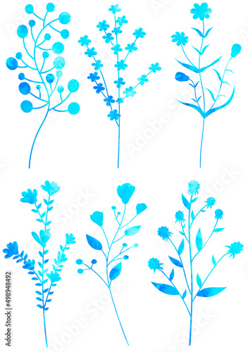 plants watercolor silhouette  on white background isolated vector