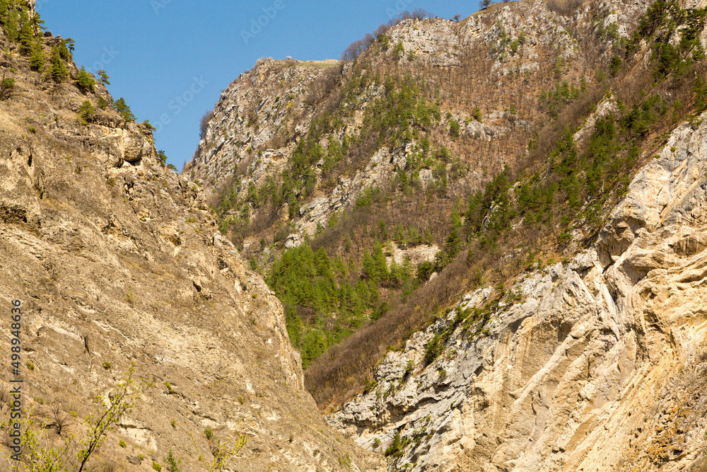 Spring in the mountains of Chechnya. Spring in the mountains of Chechnya.