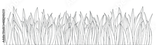 Seamless fresh grass on white background, vector illustration. Coloring page. Hand drawing.