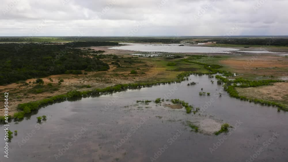 Aerial drone of Wetlands and lakes with tropical vegetation, natural habitat for animals. Sri Lanka. Aerial drone of Wetlands and lakes with tropical vegetation, natural habitat for animals. Sri Lanka.