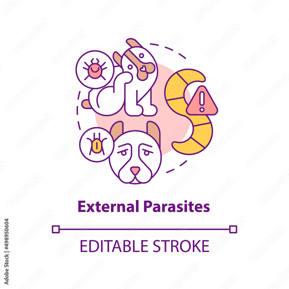 External parasites concept icon. Disease risk for dogs abstract idea thin line illustration. Tapeworms and mites. Isolated outline drawing. Editable stroke. Arial, Myriad Pro-Bold fonts used