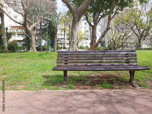 Empty Wood Bench in a Park