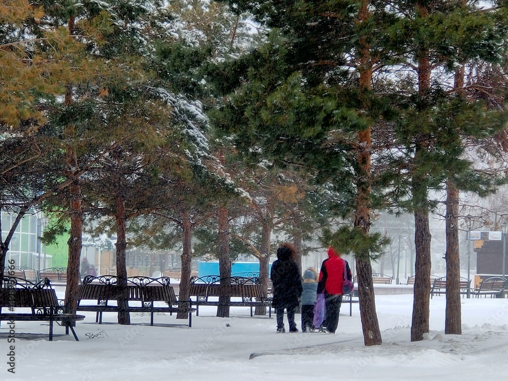 People walk in the park in winter. A family walks in the park under a snowfall. People walk in the park in winter. A family walks in the park under a snowfall.