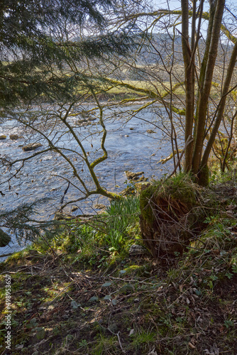 View of the River Esk through wooded river side. Upstream from the bridge at Bentpath © Fencewood studio