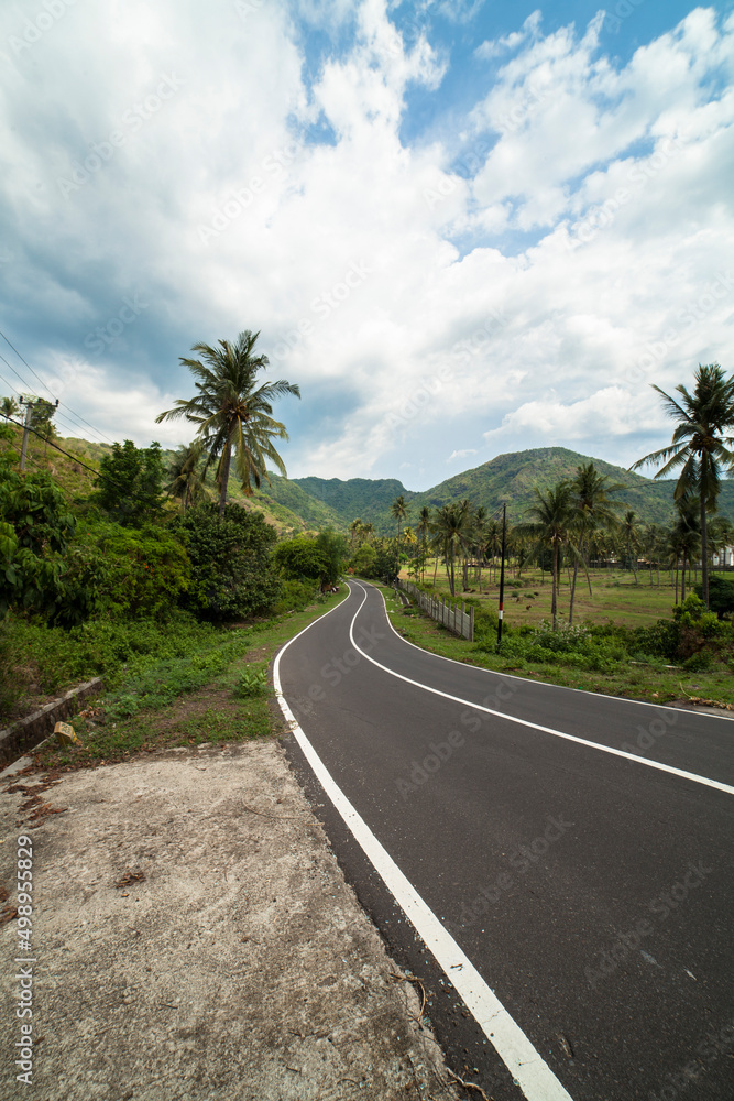 Road in forest, Lombok Indonesia