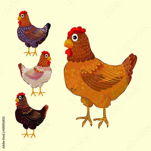 Chicken set, hen, rooster character vector illustration.