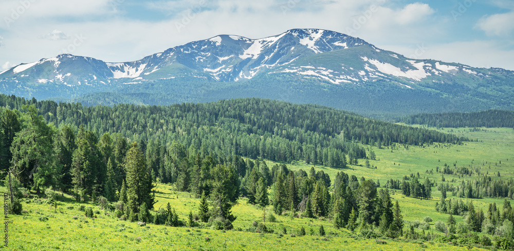 Summer greenery of meadows and forests and snow on the peaks, sunny day, panoramic view	