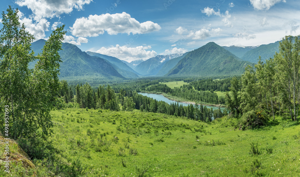 Picturesque mountain valley on a sunny summer day, wild river