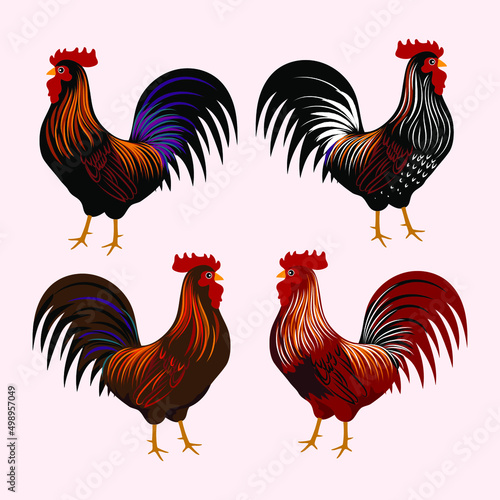 Chicken set, hen, rooster character vector illustration.