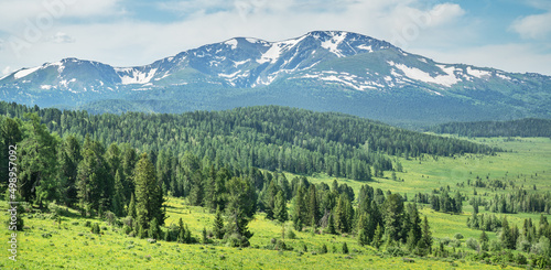 Summer greenery of meadows and forests and snow on the peaks, sunny day, panoramic view 