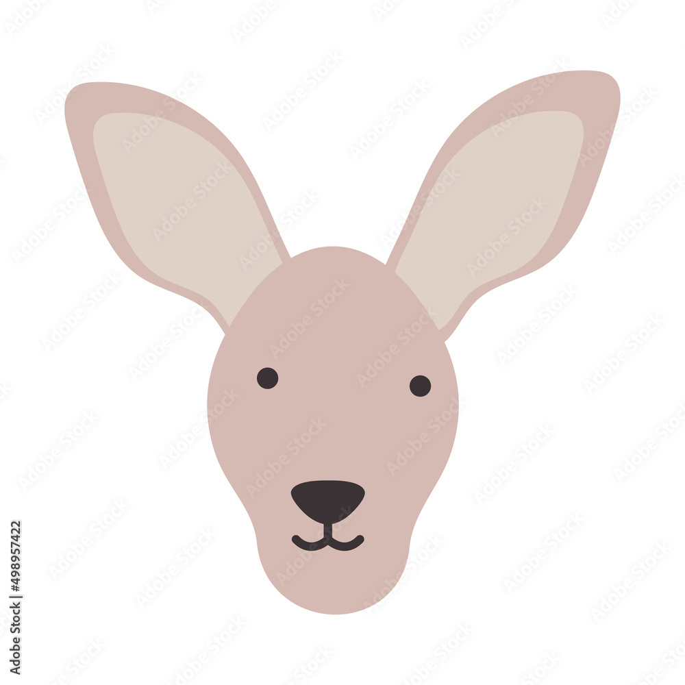 cute kangaroo face cute kangaroo face