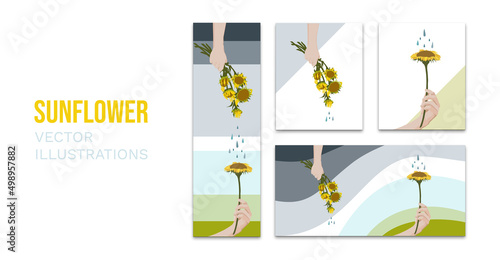 Sunflower Illustrations: Life and Death
