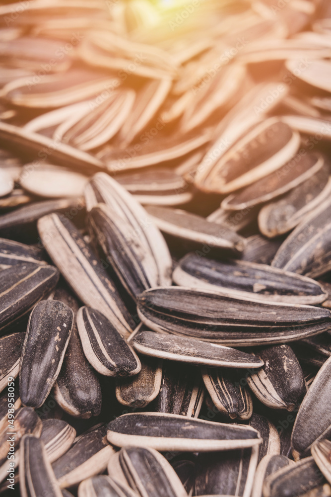 Sunflower seeds illuminated by a sunbeam, vertical photo Sunflower seeds illuminated by a sunbeam, vertical photo
