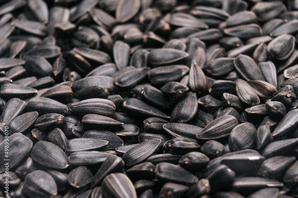 Dry black sunflower seeds of black color, selective focus Dry black sunflower seeds of black color, selective focus