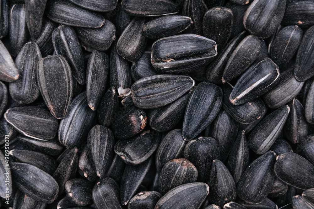 Dry black sunflower seeds of black color, top view Dry black sunflower seeds of black color, top view