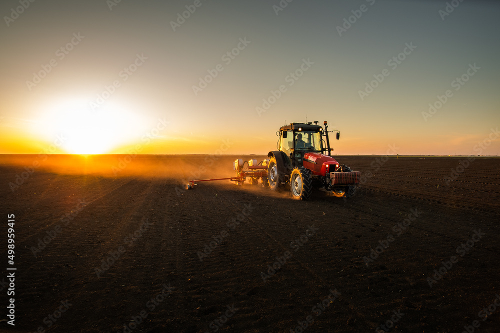 Fototapeta premium Farmer with tractor seeding