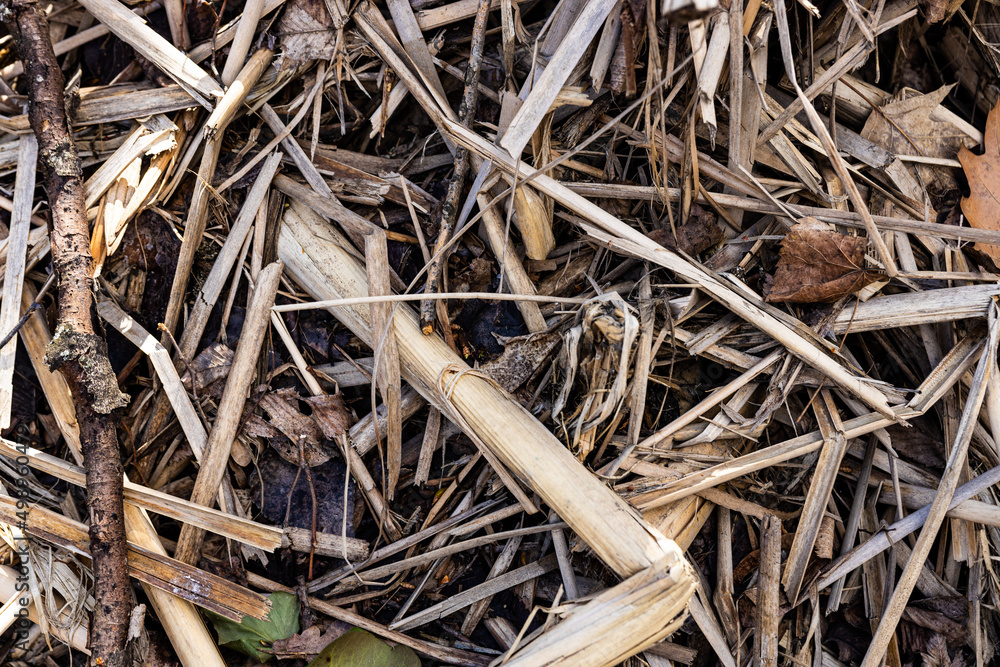 Texture background of autumn season with leaves, wooden chips and hay. High quality photo Texture background of autumn season with leaves, wooden chips and hay. High quality photo