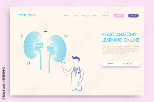 Landing page Online doctor concept. Experts advise kidney anatomy in learning online.