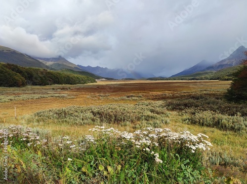Plaines de Patagonie sous l orage  Terre de Feu  Ushuaia  couleurs d automne