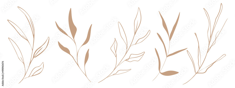 Hand drawn plant set modern and universally usable. Flower branch and minimalistic plants. Hand drawn lines, elegant leaves for your own design. Botanical, chic and trendy plants. Hand drawn plant set modern and universally usable. Flower branch and minimalistic plants. Hand drawn lines, elegant leaves for your own design. Botanical, chic and trendy plants.
