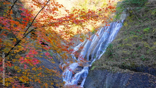 日本三名瀑　茨城県大子町の絶景・紅葉の「袋田の滝」　6249