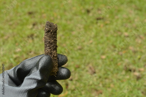 Close up of soil plug from lawn core aeration with a newly aerated lawn in the background photo