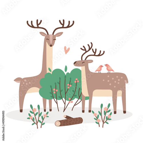 Cute couple of deers in love. Two wild animals with summer green bush isolated concept. Valentine characters for print template. Great for nursery decor, kid posters, cards, kid textile. Vector design