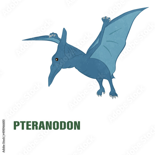 Illustration of cute pteranodon 01