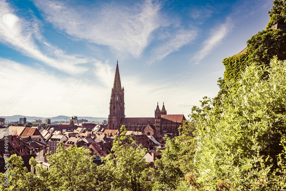 Freiburger Münster mit Natur