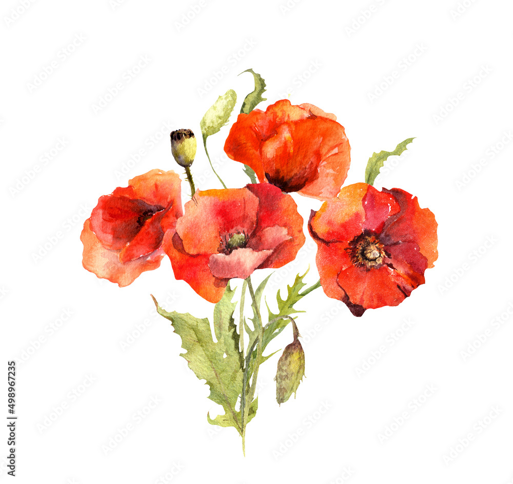 Red poppy flowers bouquet. Watercolor for Memorial, Anzac day - obrazy, fototapety, plakaty 