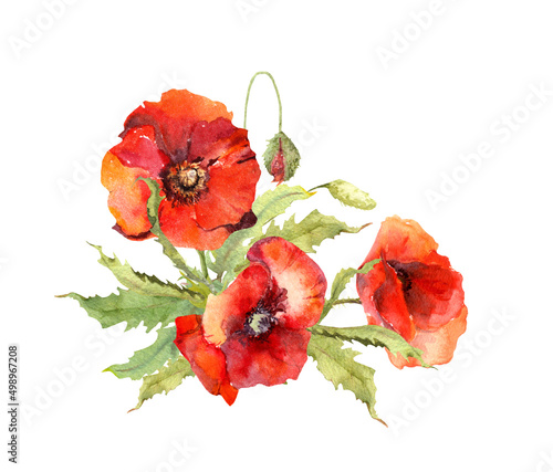 Fotografie, Obraz Watercolor red poppies bouquet. Hand painted flowers illustration