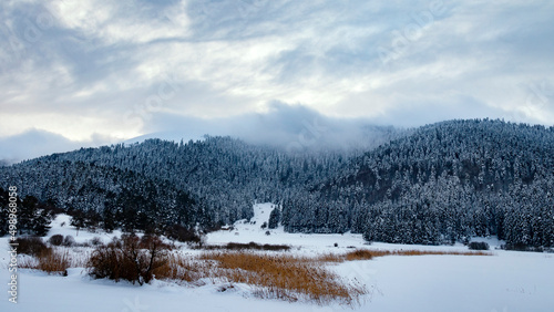 Bolu- Abant lake winter landscape