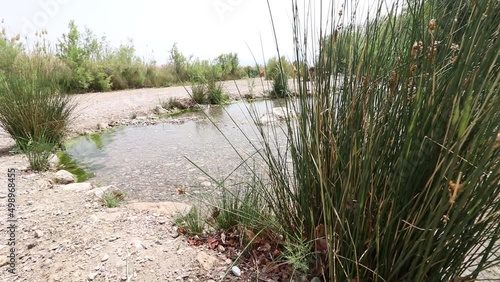 Einot Tzukim Nature Reserve - a stream and springs of fresh water in the heart of the desert, near the Dead Sea - Israel photo