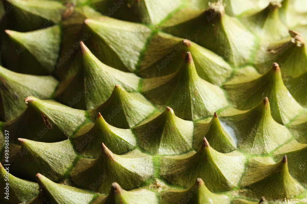 Closeup view of ripe durian as background Closeup view of ripe durian as background