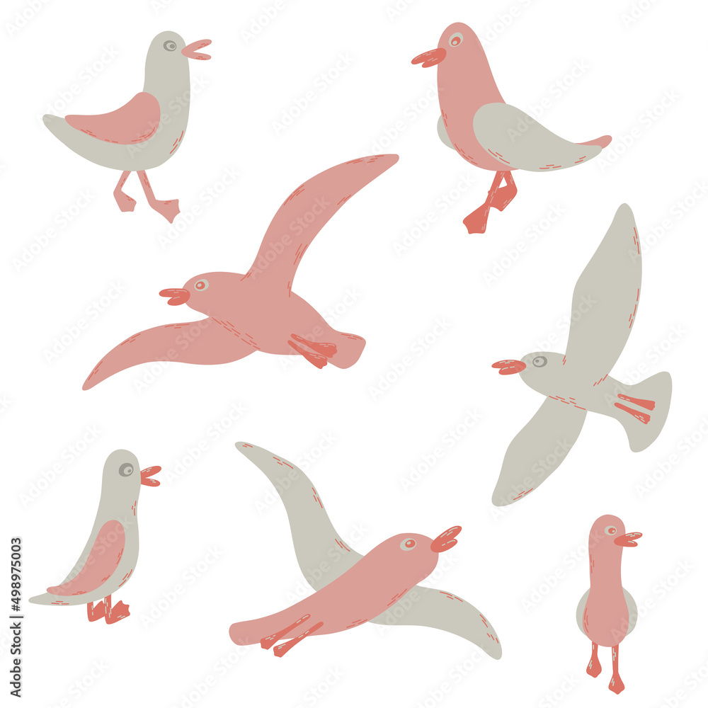 Cartoon atlantic seabird. 7gulls in a vector flat style. Cartoon atlantic seabird. 7gulls in a vector flat style.