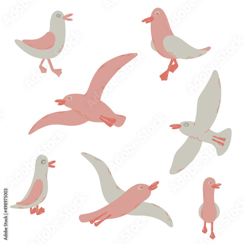 Cartoon atlantic seabird. 7gulls in a vector flat style.