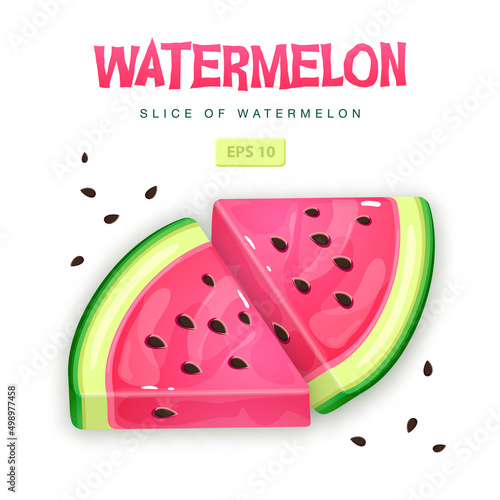 Set of watermelon slices isolated on white background. Vector watermelon illustration
