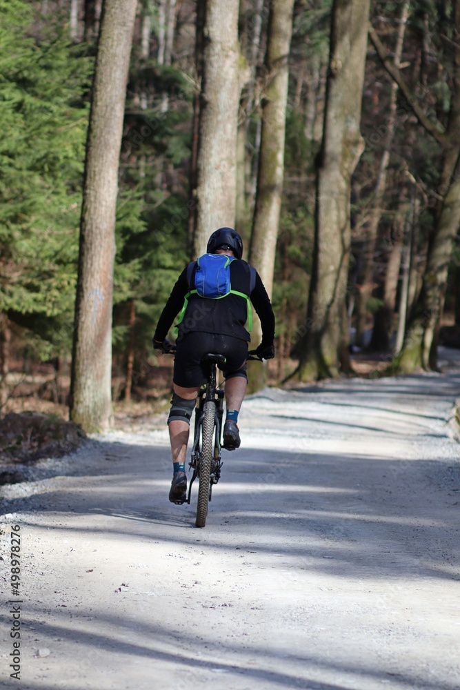 Rowerzysta jadący leśną ścieżką rowerową 